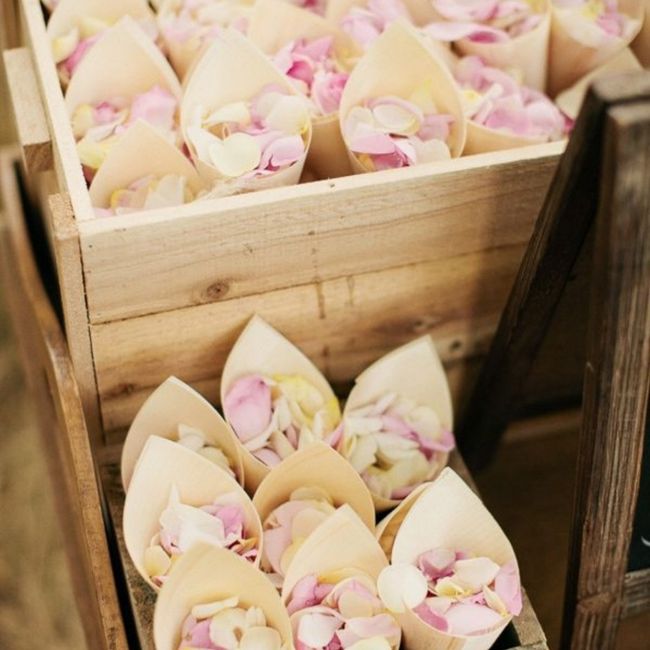 Cassette della frutta - 2