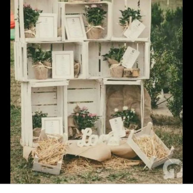 Matrimonio country: piante aromatiche - 1