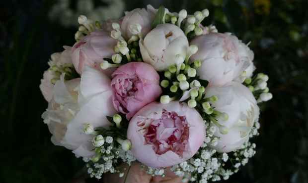 Bouquet peonie  - 1