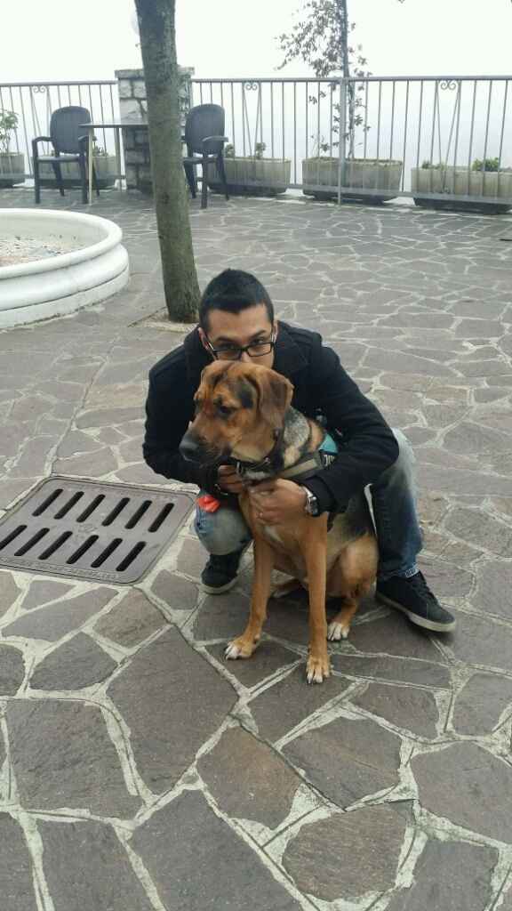 Ecco a voi i miei amori.. - 1