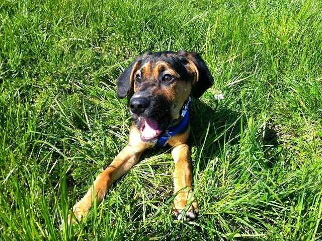 Ecco il nostro "bimbo" - 1