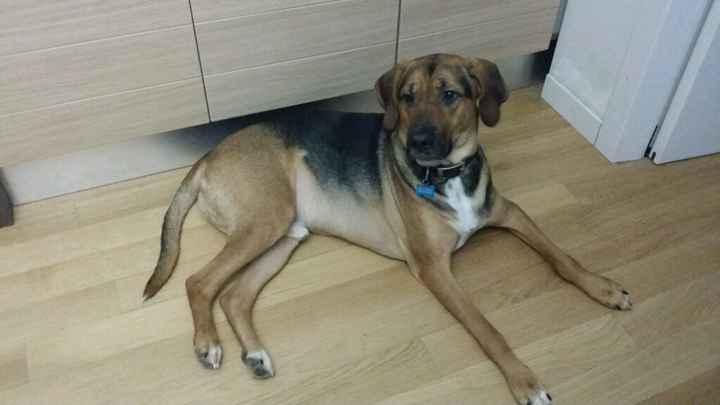 Ecco il nostro "bimbo" - 2