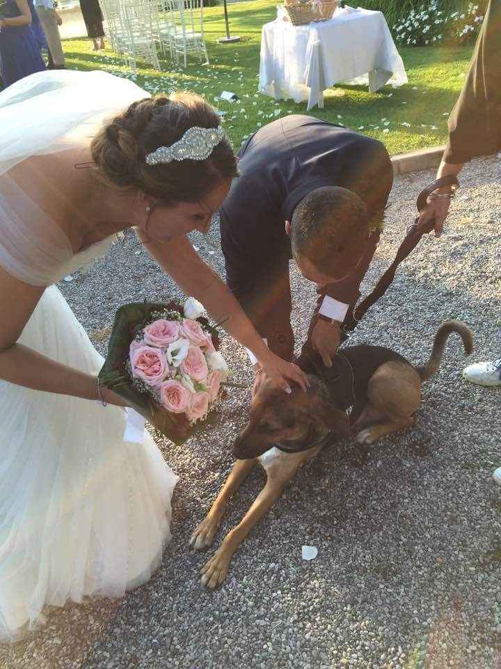 24.09.2016 il nostro giorno - 8