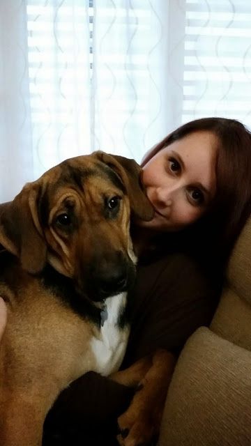 E i nostri amici a 4 zampe ??? - 1