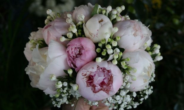 Bouquet peonie  - 1