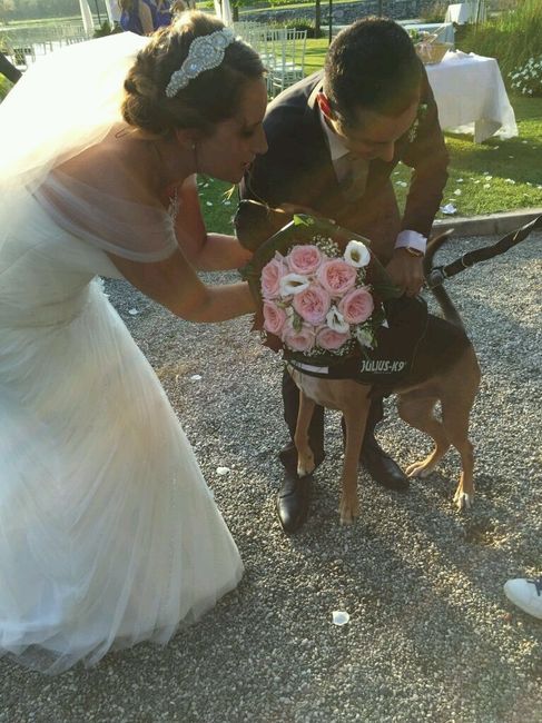 24.09.2016 il nostro giorno - 19