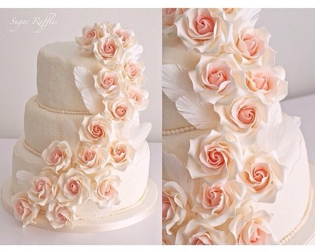 Torte da sogno 2