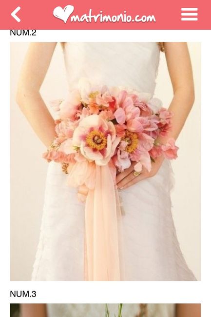 Tema color pesca! - 3