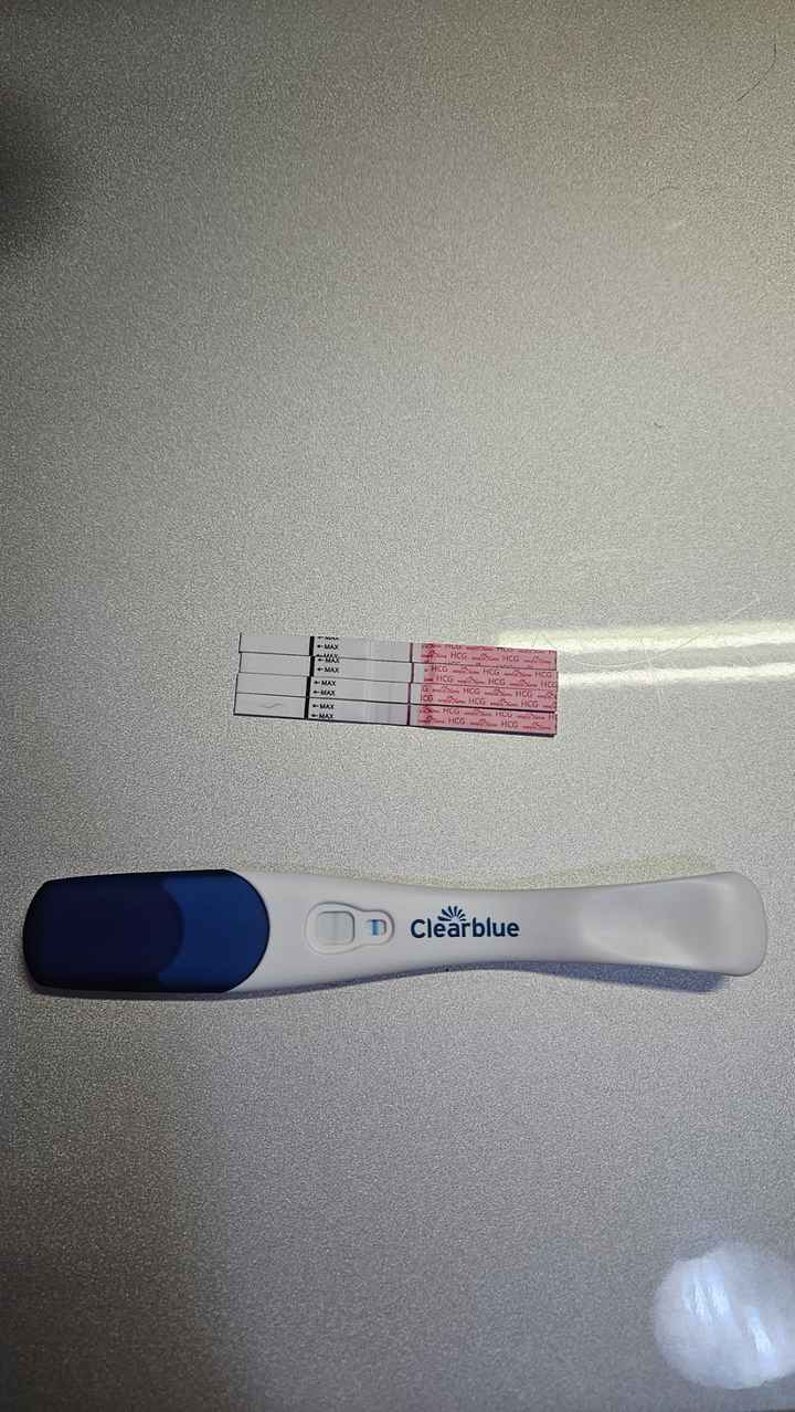 Per chi non le aspetta Maggio,Giugno,Luglio 2024🍀🐞 - 1