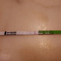 Interpretazione stick ovulazione...help! - 1