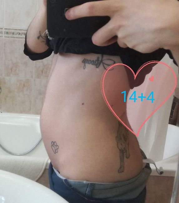 Foto delle nostre pancine ne abbiamo?! 4