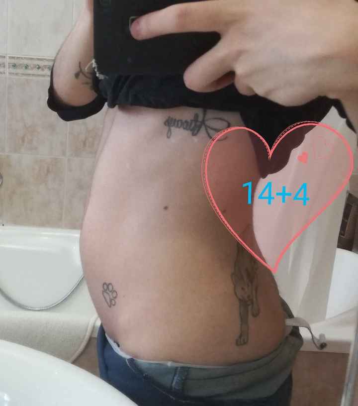 Foto delle nostre pancine ne abbiamo?! - 1