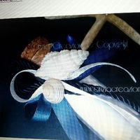 Consiglio partecipazione tema mare - 1