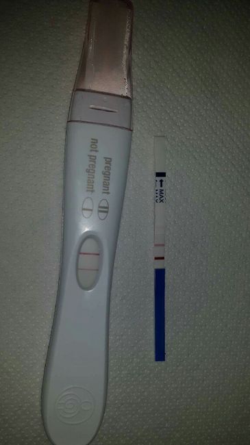 Positivo o negativo? - 1