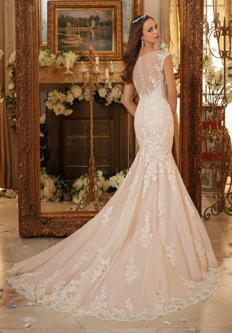 Quanto avete pagato il vostro abito??? - 2