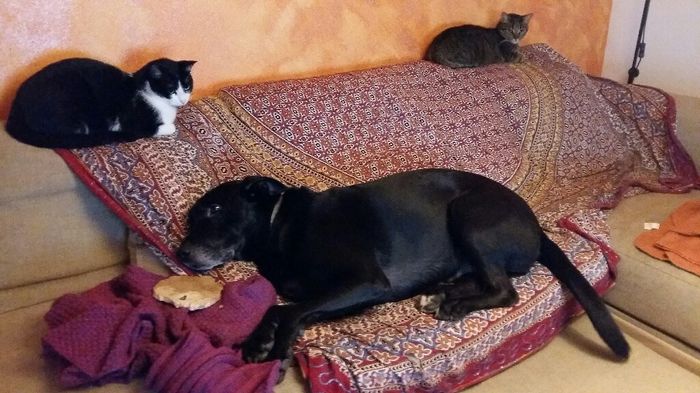 Vi presento nina! - 1