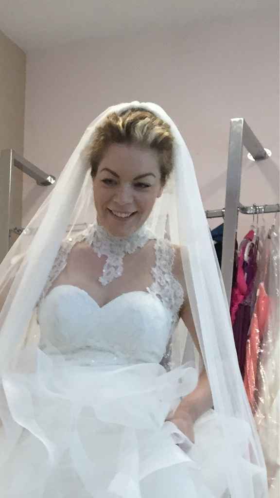 Aiuto velo/veletta e chignon - 5