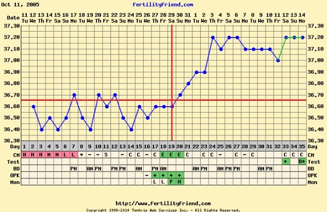 grafico 3