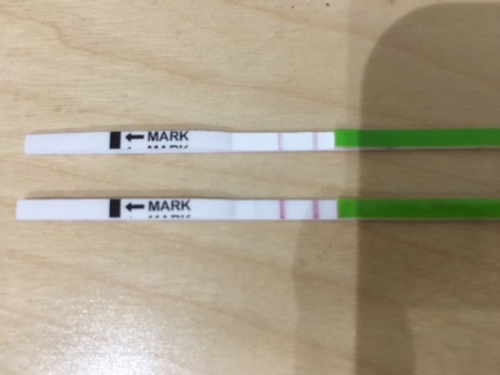 Chi non le aspetta per novembre 2019 - 1