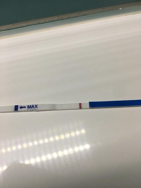 Chi non le aspetta per novembre 2019 - 1