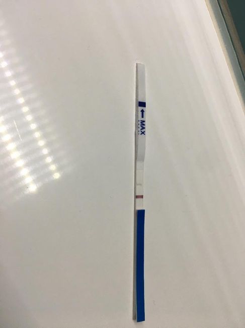 Chi non le aspetta per novembre 2019 - 1