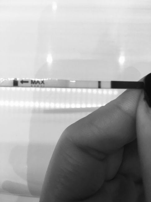 Chi non le aspetta per novembre 2019 - 3