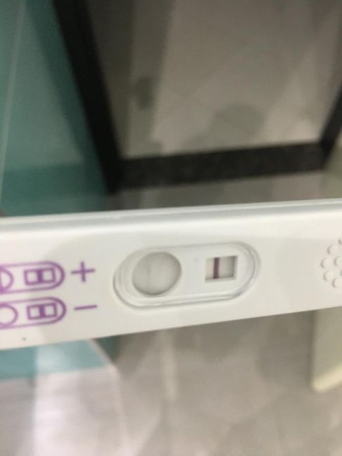 Chi non le aspetta per novembre 2019 - 2