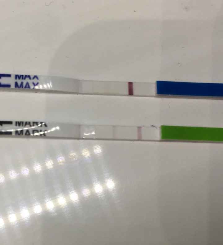 Chi non le aspetta per ottobre 2019 - 1