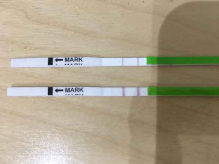 Chi non le aspetta per novembre 2019 - 1