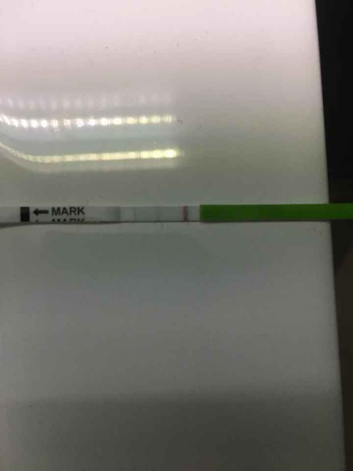 Chi non le aspetta per novembre 2019 - 1