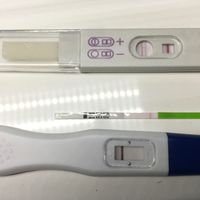 Chi non le aspetta per novembre 2019 - 1