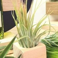 Bomboniere matrimonio - 1