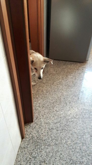 ...e non penso più al matrimonio... - 2