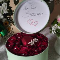 Il mio grande amore e la sua proposta