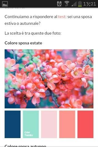 Agata - sono una sposa estiva e autunnale - 7