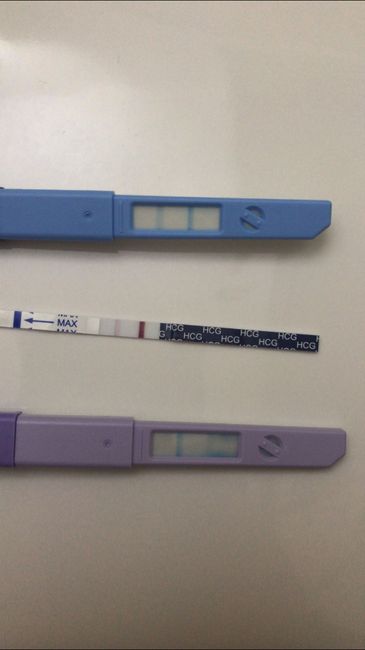 Chi non le aspetta per marzo 2023🍀 - 4