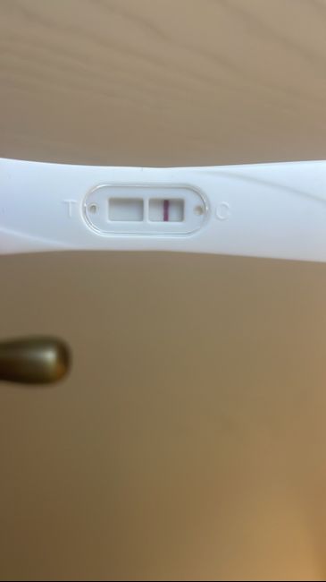 Per chi non le aspetta ottobre e novembre 🍀🐞 - 1