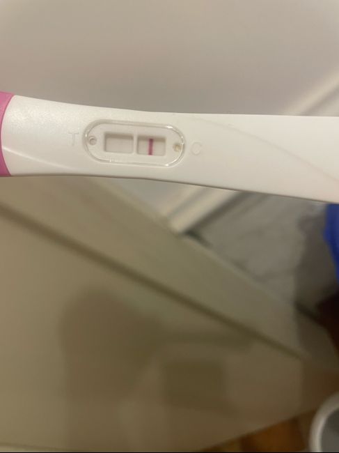 Per chi non le aspetta ottobre e novembre 🍀🐞 - 2