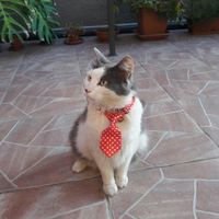 Foto con pelosetti - 1