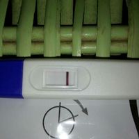 Chi mi fa compagnia? - 1