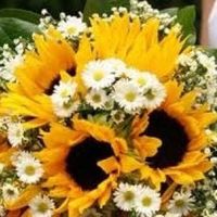 Girasoli, girasoli ovunque!!