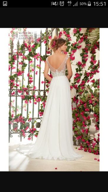 Cosa dite del abito che ho scelto? - 2