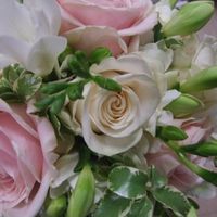 il mio bouquet - 1020 milleventi - 26 ottobre 2013