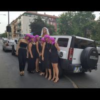 Addio al nubilato alle porte.. vi rapiranno?! - 1