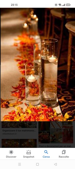 Matrimonio autunnale 1