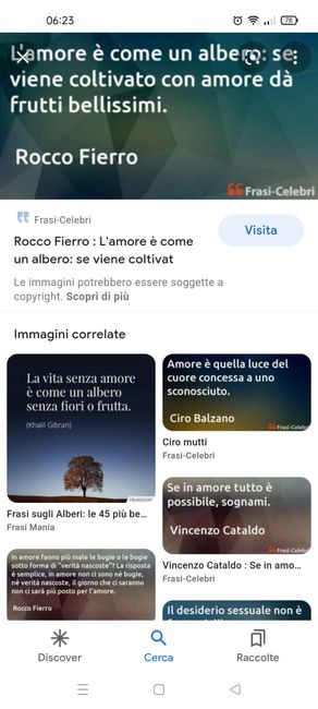 Nomi dei tavoli (alberi) e frase correlata 3