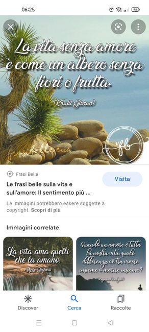 Nomi dei tavoli (alberi) e frase correlata 5