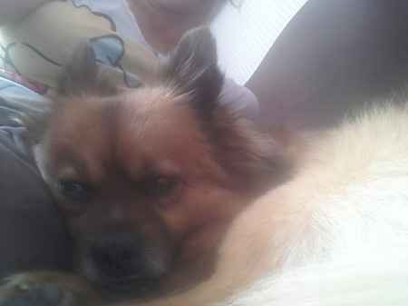 La amo,10 anni bellissimi con lei notte e giorno - 1