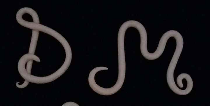 .... lavorando sui dettagli!!! - 4