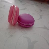 scatoline macaron
